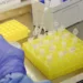 Diagnóstico laboratorial de casos suspeitos do novo coronavírus (2019-nCoV), realizado pelo Laboratório de Vírus Respiratório e do Sarampo do Instituto Oswaldo Cruz (IOC/Fiocruz), que atua como Centro de Referência Nacional em Vírus Respiratórios para o Ministério da Saúde