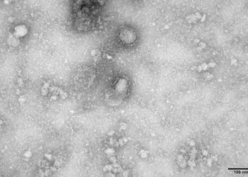 Governo cria grupo para monitorar casos de coronavirus