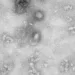 Governo cria grupo para monitorar casos de coronavirus