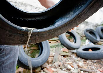 Acre aparece no mapa da dengue entre os estados com aumento de casos este ano