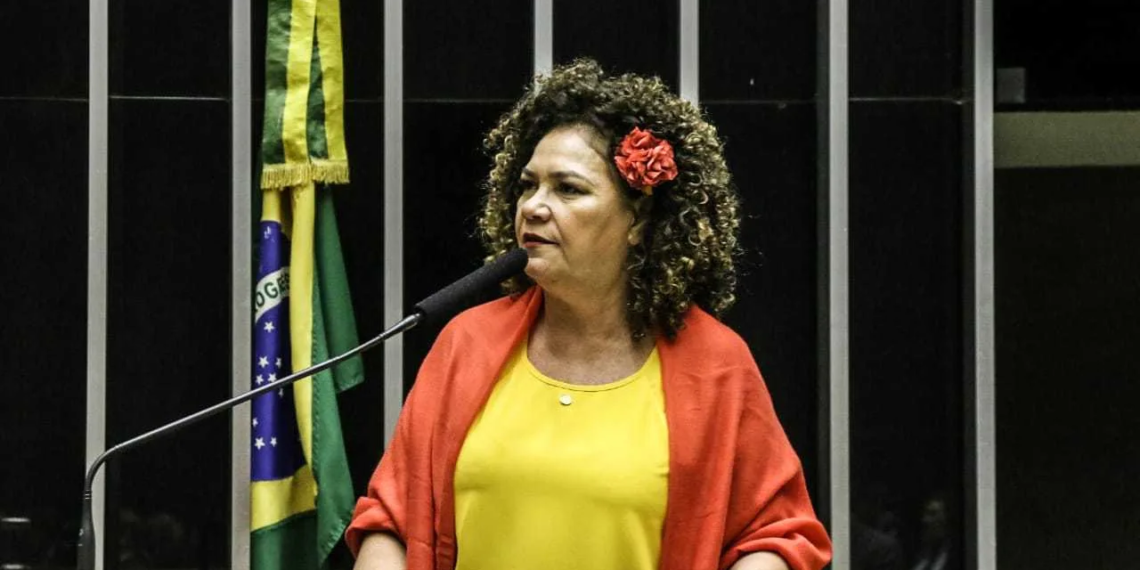 Perpétua apresenta Projeto de Lei que proíbe cobrança de bagagem pelas companhias aéreas