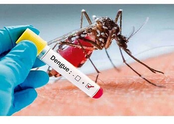 Acre está na lista dos estados com epidemia de dengue, diz Ministério da Saúde