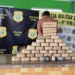 Polícia prende homem com 41 kg de cocaína em caminhonete