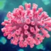 MP/AC avalia estratégias adotadas no combate a pandemia de coronavírus em Feijó