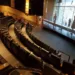 Sessões de cinema são suspensas e shopping anuncia horário reduzido