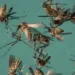 Além da pandemia de Covid-19, Acre vive surto de dengue, com mais de 4 mil casos em menos de 3 meses