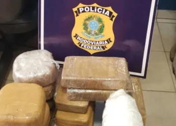Casal é preso com quase 40 quilos de cloridrato de cocaína na BR-364