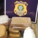 Casal é preso com quase 40 quilos de cloridrato de cocaína na BR-364