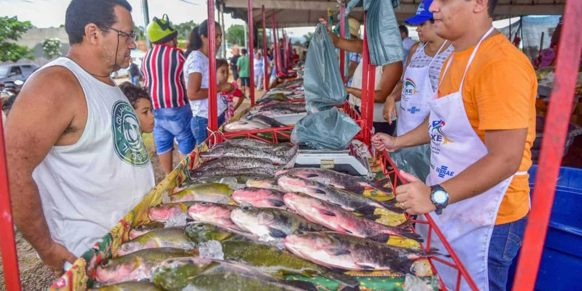 Produtores deverão comercializar 120 toneladas de pescado durante a Feira do Peixe deste ano