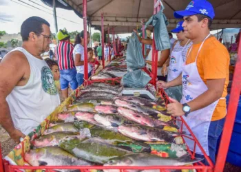 Produtores deverão comercializar 120 toneladas de pescado durante a Feira do Peixe deste ano