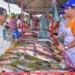Produtores deverão comercializar 120 toneladas de pescado durante a Feira do Peixe deste ano