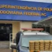 Mais de 40 quilos de droga são apreendidos e 40 pessoas são conduzidas em operação da PRF
