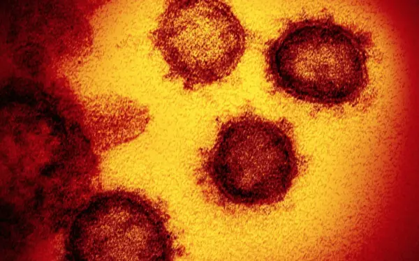 A nossa humanidade em tempo de Covid-19