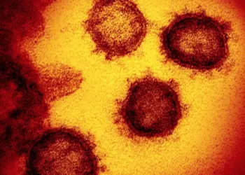 A nossa humanidade em tempo de Covid-19