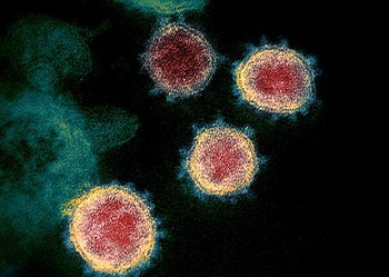 Boletim da Sesacre confirma total de 8 óbitos por coronavírus no Acre; casos sobem para 176