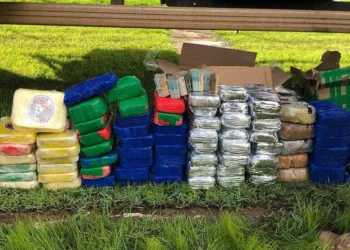 Homem é preso com 100 quilos de cocaína na BR-364, em Rio Branco