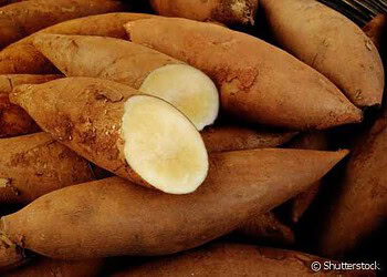 Dicas de alimentos para reforçar a imunidade