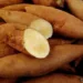 Dicas de alimentos para reforçar a imunidade