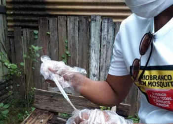 Após alerta de surto de dengue, técnicos municipais passam por capacitação sobre uso de inseticida e larvicida