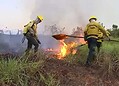Serviço voluntário para brigadistas florestais é criado no Acre; veja como vai funcionar