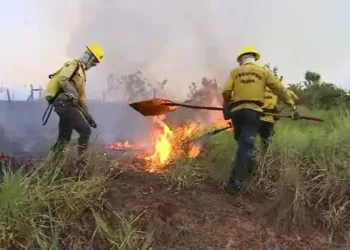 Governo estabelece plano de ação e controle contras queimadas no Acre