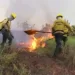 Prefeitura divulga resultado preliminar de seleção para brigadistas voluntários