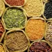 Sementes crioulas garantem diversidade genética e valorização do conhecimento tradicional
