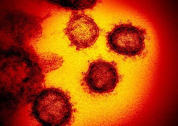 Acre sobe para 142 casos de coronavírus; mais um óbito é confirmado e 3 estão em investigação