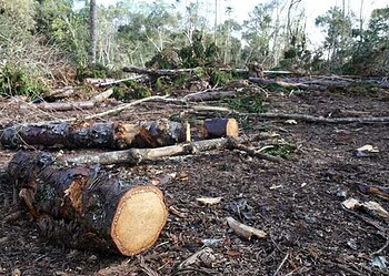 Acordo intermediado pela AGU garante indenização de R$20 milhões a indígenas do Acre