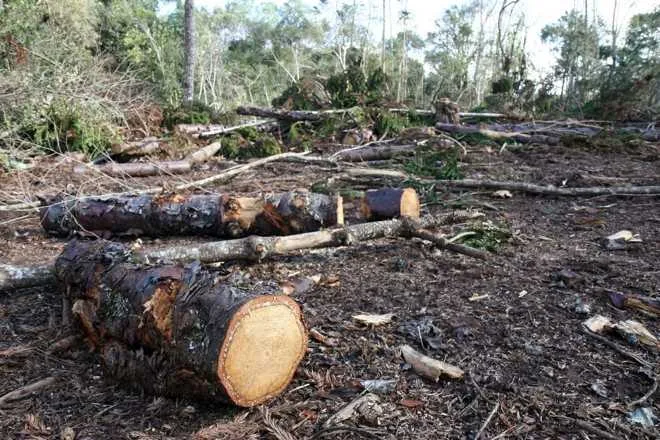 Acordo intermediado pela AGU garante indenização de R$20 milhões a indígenas do Acre