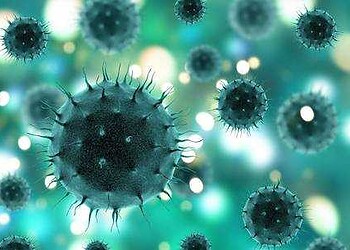 Acre sobe para 43 casos de Covid-19; 16 pacientes já se curaram da doença