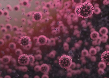 Com mais 21 pessoas infectadas, Acre totaliza 163 casos confirmados de coronavírus