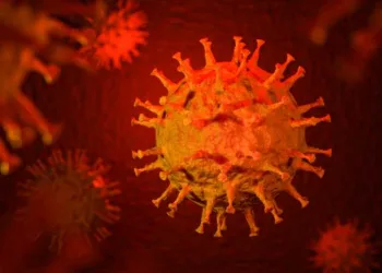 3D render: Corona virus - Schematic image of viruses of the Corona family
