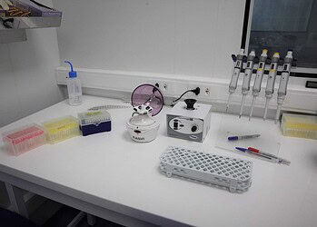 Detenção para quem se recusar a fazer o teste do coronavírus será em casos extremos