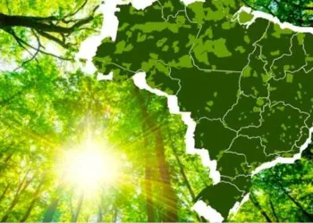 Artigo - As unidades de conservação e o direito de propriedade