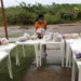Cestas básicas se esgotaram em 15 minutos (Foto: Reprodução Facebook Massimo Lombardi)