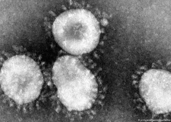 ARTIGO - Covid-19, SARS, H1N1 - o que estas doenças têm a nos dizer sobre os problemas ambientais?