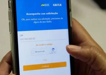 Inúmeros erros estão impedindo acesso a benefício concedido pela União (Foto: Divulgação)