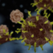 3D art based in microscope images of the corona virus from the 2020 outbreak in Wuhan, China
