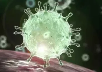 Boletim parcial registra 88 novos casos e oito mortes por Covid-19; indígena está entre as vítimas
