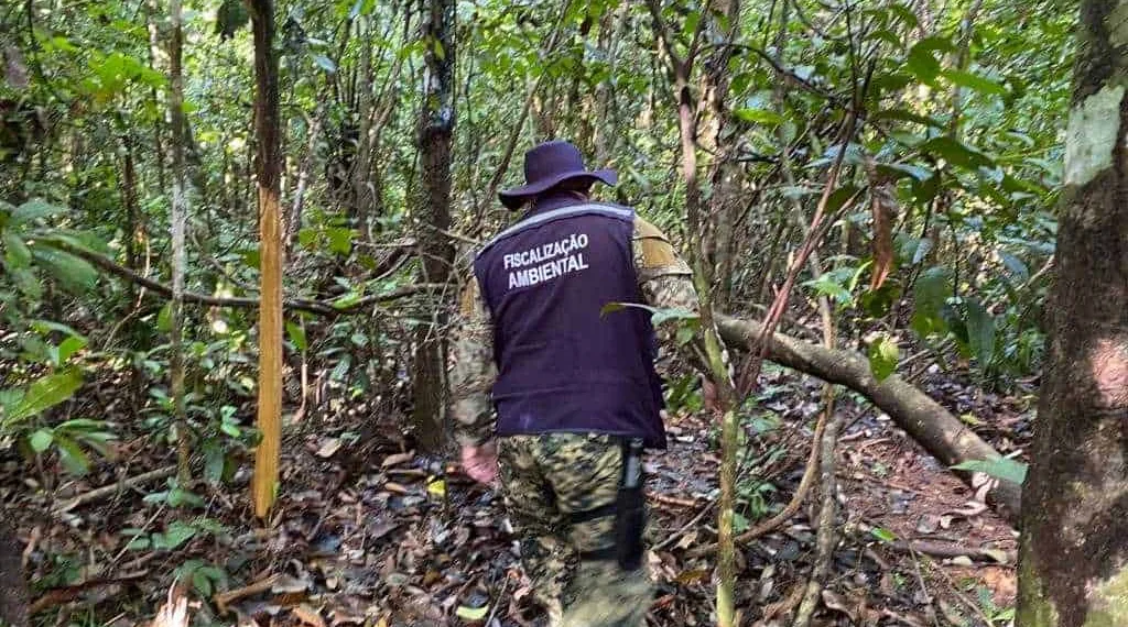 Verão amazônico faz Prefeitura intensificar ações de combate a queimadas urbanas