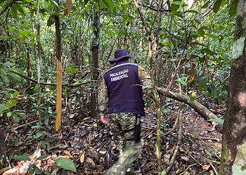 Verão amazônico faz Prefeitura intensificar ações de combate a queimadas urbanas