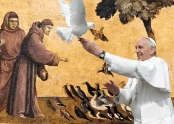 ARTIGO - O meio ambiente e Francisco