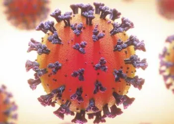 COVID-19, Coronavirus, group of viruses that cause diseases in mammals and birds. In humans, the virus causes respiratory infections. 3D illustration.