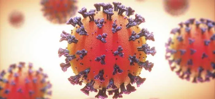 COVID-19, Coronavirus, group of viruses that cause diseases in mammals and birds. In humans, the virus causes respiratory infections. 3D illustration.