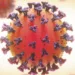 COVID-19, Coronavirus, group of viruses that cause diseases in mammals and birds. In humans, the virus causes respiratory infections. 3D illustration.