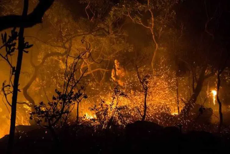 Qual o custo financeiro dos incêndios nas florestas acreanas?