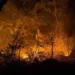 Qual o custo financeiro dos incêndios nas florestas acreanas?