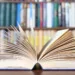 ARTIGO - Amor ao livro