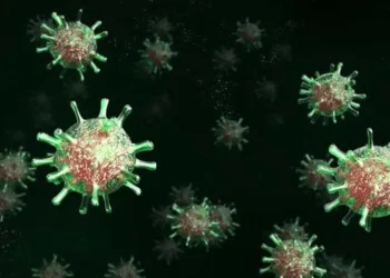 Acre tem 15,1 mil infectados e 404 óbitos por coronavírus